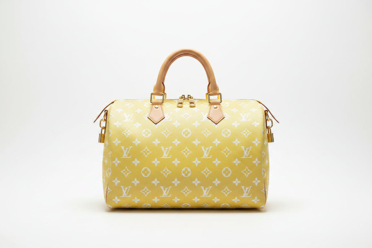 Louis Vuitton Speedy Monogram Bag