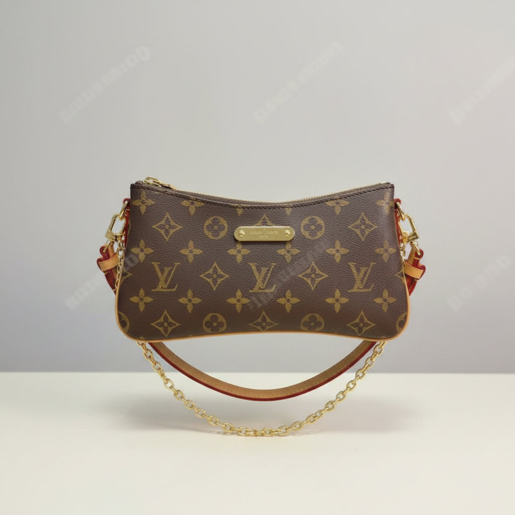 Louis Vuitton Multi Pochette Accessoires