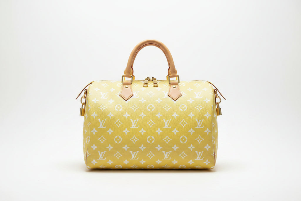 Louis Vuitton Speedy Monogram Bag