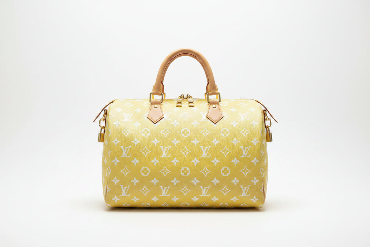 Louis Vuitton Speedy Monogram Bag