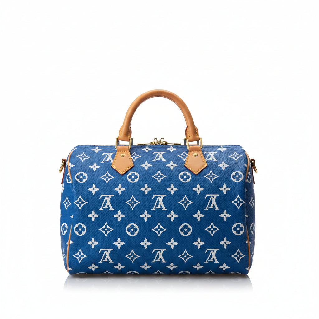 Louis Vuitton Speedy Monogram Bag